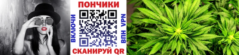 Купить закладку Елизаветинская ГАШИШ  Конопля  АМФ  Мефедрон  СК 